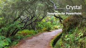  Presentation with hike forest - Colorful slide set enhanced with magic forest - hike in madeira backdrop and a tawny brown colored foreground