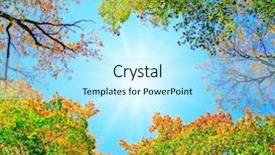  Presentation with park - Amazing presentation theme having magic forest - trees of a park backdrop and a arctic colored foreground