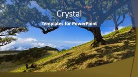  Presentation with magic - Cool new slides with magic-forest-in-madeira-portugal backdrop and a ocean colored foreground
