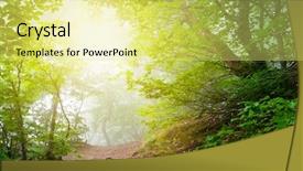  Presentation with forest morning - Amazing PPT layouts having magic forest in the early backdrop and a yellow colored foreground