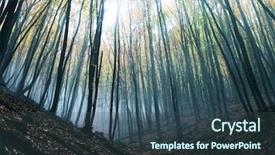  Presentation with misty - Presentation theme having magic forest of misty background and a ocean colored foreground