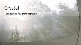  Presentation with magic garden - Amazing presentation theme having magic forest of misty backdrop and a white colored foreground