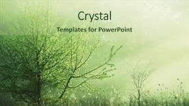  Presentation with foggy forest - Beautiful presentation theme featuring magic forest of misty backdrop and a  colored foreground