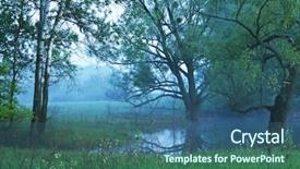  Presentation with magic garden - PPT layouts with magic forest of misty background and a  colored foreground