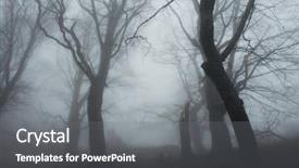  Presentation with magic leap - Audience pleasing presentation theme consisting of magic forest of misty backdrop and a gray colored foreground