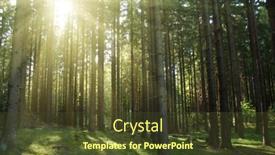  Presentation with magic - Presentation enhanced with magic-forest background and a tawny brown colored foreground