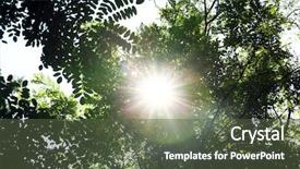  Presentation with tree sky trees green - Cool new slides with magic garden - beautiful green trees outdoors backdrop and a  colored foreground