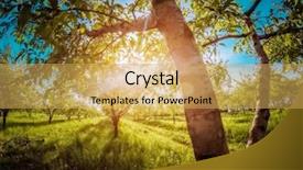  Presentation with work place violence - Colorful theme enhanced with magic garden - fantastic apple orchard is illuminated backdrop and a  colored foreground