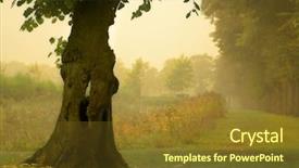  Presentation with magic garden - Colorful PPT theme enhanced with magic garden - hollow tree in the mist backdrop and a tawny brown colored foreground