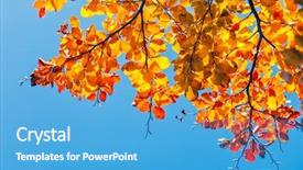  Presentation with autumn leaves - Colorful presentation enhanced with magic garden - majestic colorful leaves backdrop and a teal colored foreground