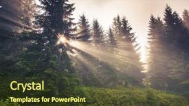  Presentation with green forest morning - PPT theme consisting of magic garden - sunlight in the green forest background and a tawny brown colored foreground