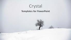  Presentation with snow tree - Slides having magic holiday background of lonely tree in fresh snow background and a white colored foreground