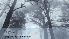  Presentation with misty - PPT layouts featuring magic-misty-forest-beautiful-natural background and a light blue colored foreground