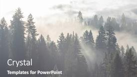  Presentation with beautiful landscapes - PPT layouts with magic-misty-forest-beautiful-natural background and a gray colored foreground