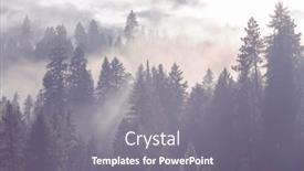  Presentation with beautiful landscapes - Colorful presentation enhanced with magic-misty-forest-beautiful-natural backdrop and a gray colored foreground
