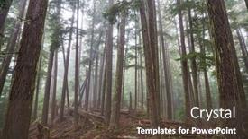  Presentation with beautiful landscapes - Presentation theme consisting of magic-misty-forest-beautiful-natural background and a  colored foreground
