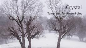  Presentation with beautiful landscapes - Theme having magic-misty-forest-beautiful-natural background and a  colored foreground