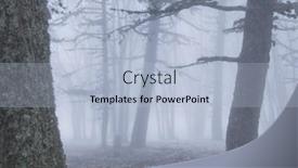  Presentation with misty - PPT layouts with magic-misty-forest-beautiful-natural background and a light blue colored foreground