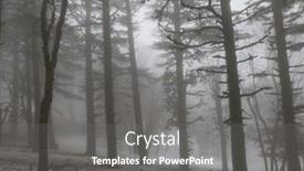  Presentation with misty - Presentation theme enhanced with magic-misty-forest-beautiful-natural background and a gray colored foreground