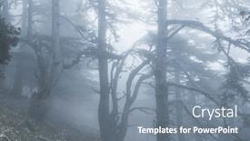  Presentation with misty - Presentation theme with magic-misty-forest-beautiful-natural background and a gray colored foreground