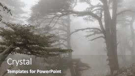  Presentation with misty - Presentation design consisting of magic-misty-forest-beautiful-natural background and a gray colored foreground