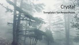  Presentation with scary forest - Colorful slide set enhanced with magic misty forest fog backdrop and a light gray colored foreground