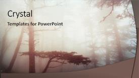  Presentation with scary forest - PPT theme featuring magic misty forest foggy morning background and a white colored foreground