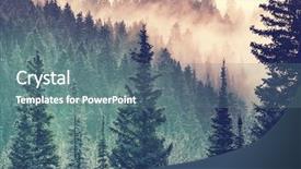  Presentation with forest morning - Slides enhanced with magic misty forest background and a  colored foreground