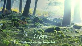  Presentation with magic garden - Audience pleasing presentation design consisting of magic misty in forest backdrop and a tawny brown colored foreground