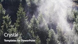  Presentation with misty - Slide deck with magic misty in forest background and a dark gray colored foreground
