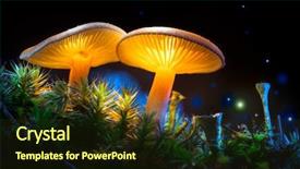  Presentation with magic mushroom - PPT layouts having magic mushroom fungus border background and a tawny brown colored foreground