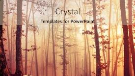  Presentation with fog - Presentation design consisting of magic-mysterious-autumn-forest background and a lemonade colored foreground