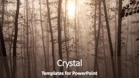  Presentation with fog - Cool new slides with magic mysterious forest with trees backdrop and a tawny brown colored foreground