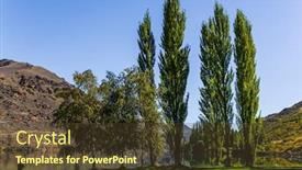  Presentation with magic - Presentation theme having magic-new-zealand-south-island background and a tawny brown colored foreground