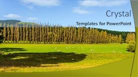  Presentation with new zealand - Amazing slides having magic-of-new-zealand-picturesque backdrop and a light blue colored foreground