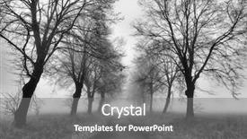  Presentation with magic garden - Cool new slide set with magic path with a misty backdrop and a gray colored foreground