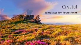  Presentation with pink beauty - Slides featuring magic-pink-flowers-rhododendrons background and a light blue colored foreground