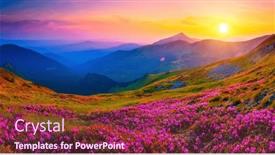  Presentation with pink beauty - Presentation featuring magic-pink-flowers-rhododendrons background and a violet colored foreground