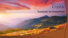  Presentation with pink beauty - Presentation enhanced with magic-pink-flowers-rhododendrons background and a coral colored foreground