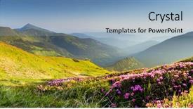  Presentation with blooming lotus flower of pink - Presentation having magic pink rhododendron flowers background and a light blue colored foreground