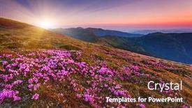  Presentation with summer flowers - Colorful slide set enhanced with magic-pink-rhododendron-flowers backdrop and a tawny brown colored foreground