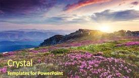  Presentation with magic garden - Slide deck enhanced with magic pink rhododendron flowers background and a tawny brown colored foreground