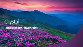  Presentation with magic garden - Slide set with hyaluronic acid injection for facial rejuvenation procedure background and a lemonade colored foreground