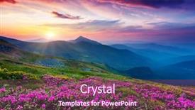  Presentation with magic garden - Beautiful slides featuring magic pink rhododendron flowers backdrop and a violet colored foreground