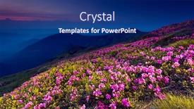  Presentation with pink sky - Audience pleasing PPT layouts consisting of magic pink rhododendron flowers on summer mountain colorful sky carpathian ukraine europe beauty world backdrop and a navy blue colored foreground