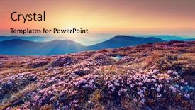  Presentation with magic garden - Amazing PPT layouts having magic pink rhododendron flowers backdrop and a lemonade colored foreground