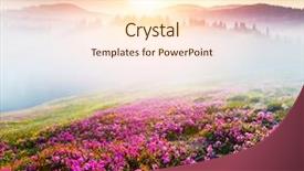  Presentation with magic garden - Slides having magic pink rhododendron flowers background and a cream colored foreground