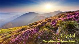  Presentation with summer flowers - Beautiful presentation design featuring magic pink rhododendron flowers backdrop and a tawny brown colored foreground