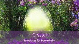  Presentation with forest - Presentation theme with magic spring forest background and a violet colored foreground