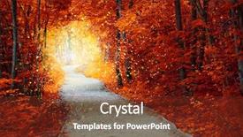  Presentation with magical - PPT layouts having magical autumn forest with path background and a tawny brown colored foreground
